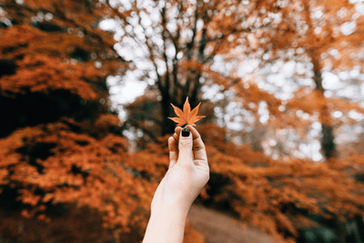 5 Healthy Fall Habits, Inspired by Traditional Chinese Medicine